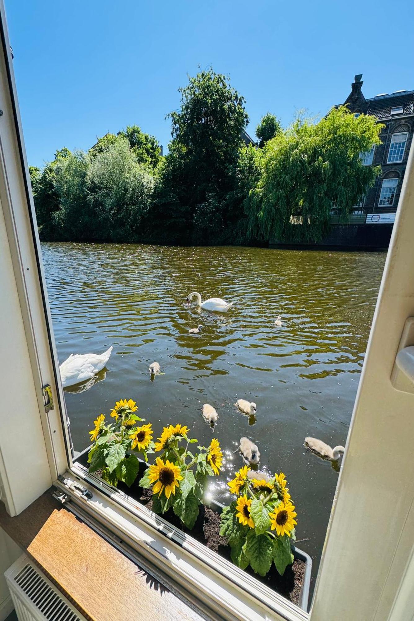 Peaceful On A Houseboat In The Centre